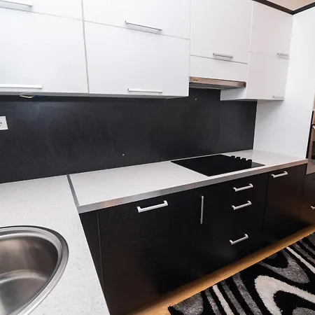 Heart Of Ferhadija Apartment *